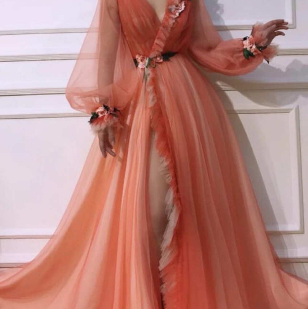 Dress Quinceanera V neck Long Sleeve Prom Dresses Fairytale Costume Besp…